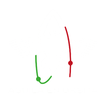 Águila en Órbita